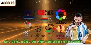 Các Giải Bóng Đá Hàng Đầu Trên Thế Giới Và Thể Thức Thi