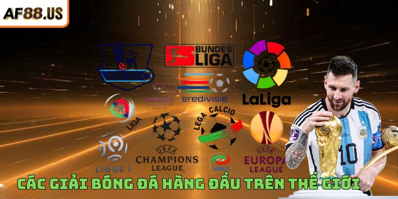 Các Giải Bóng Đá Hàng Đầu Trên Thế Giới Và Thể Thức Thi