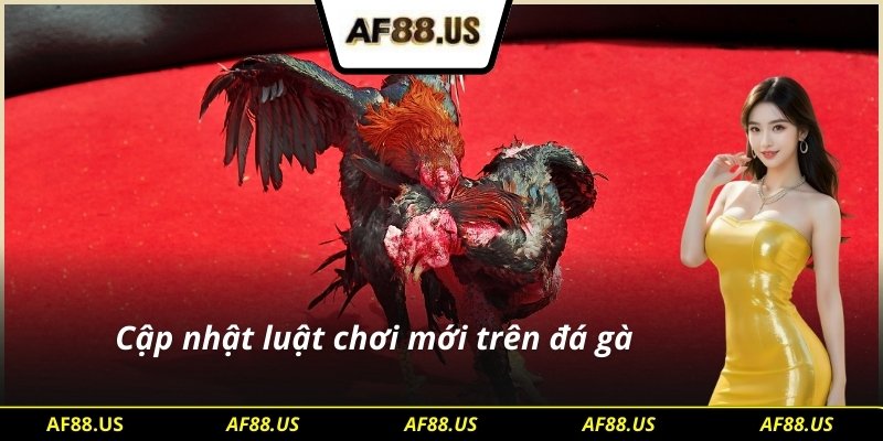 Cập nhật luật chơi mới nhất trên đá gà SV128