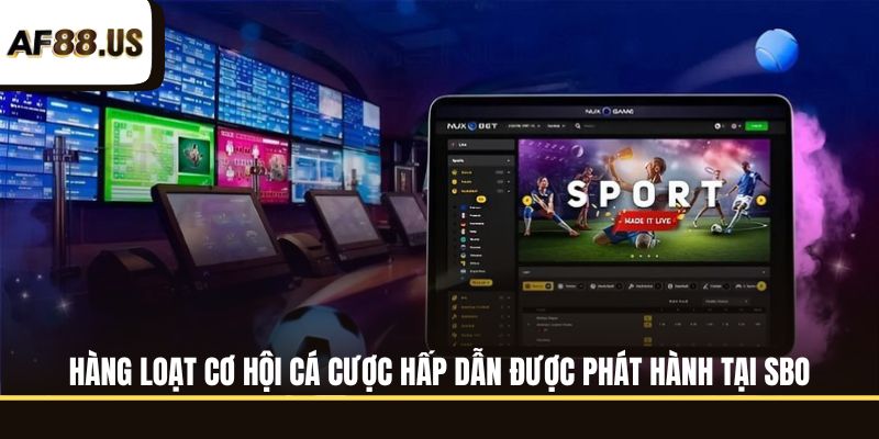 Hàng loạt cơ hội cá cược hấp dẫn được phát hành tại SBO