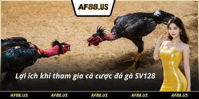 Lợi ích khi tham gia cá cược tại đá gà SV128
