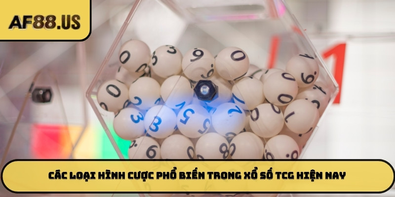 Các loại hình cược phổ biến trong xổ số TCG hiện nay