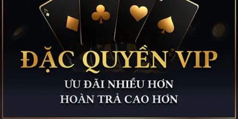💎 Những quyền lợi khác dành cho thành viên VIP