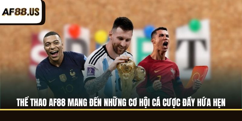 📌 Đôi nét về sảnh thể thao AF88