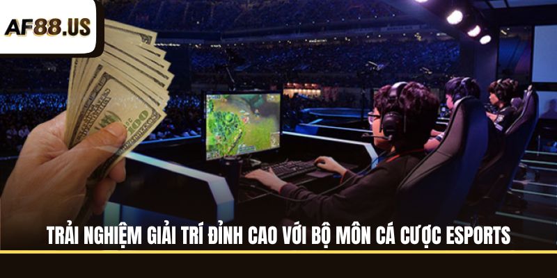 🎯 Các bộ môn đáng trải nghiệm tại thể thao AF88