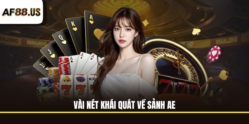 Vài nét khái quát về sảnh AE